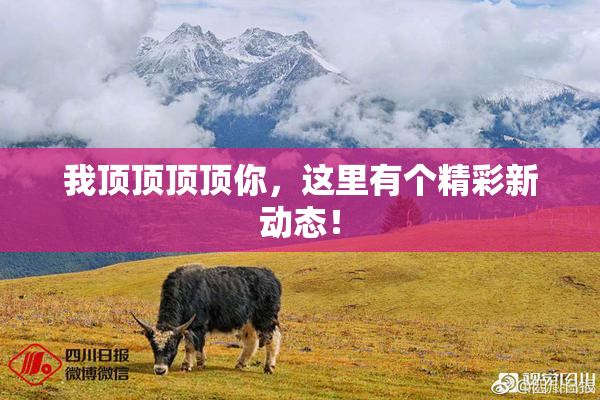 我顶顶顶顶你，这里有个精彩新动态！