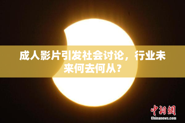 成人影片引发社会讨论，行业未来何去何从？
