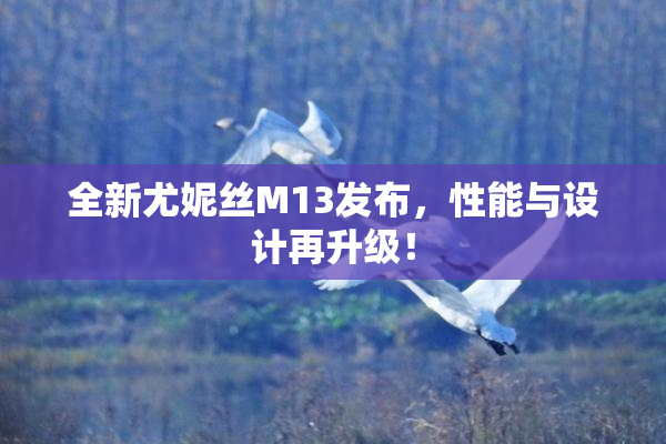 全新尤妮丝M13发布，性能与设计再升级！