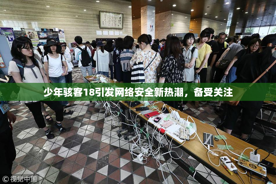 少年骇客18引发网络安全新热潮，备受关注