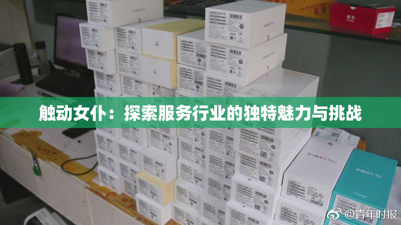 触动女仆：探索服务行业的独特魅力与挑战