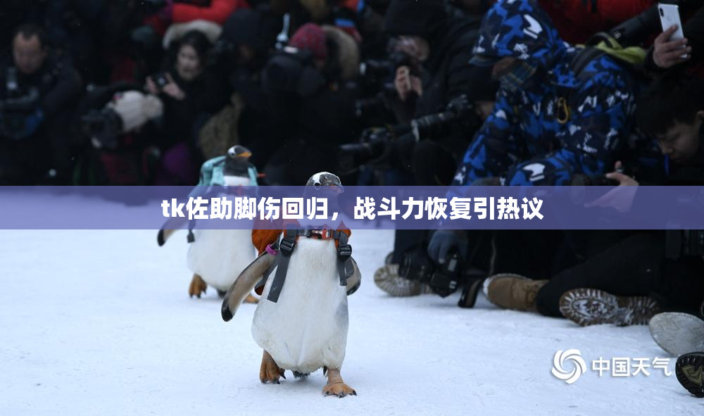 tk佐助脚伤回归，战斗力恢复引热议