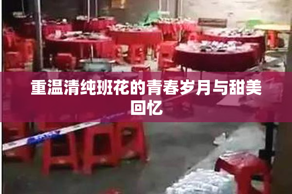 重温清纯班花的青春岁月与甜美回忆