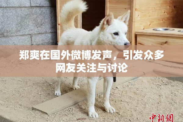 郑爽在国外微博发声，引发众多网友关注与讨论