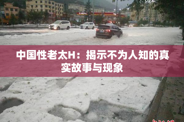 中国性老太H：揭示不为人知的真实故事与现象