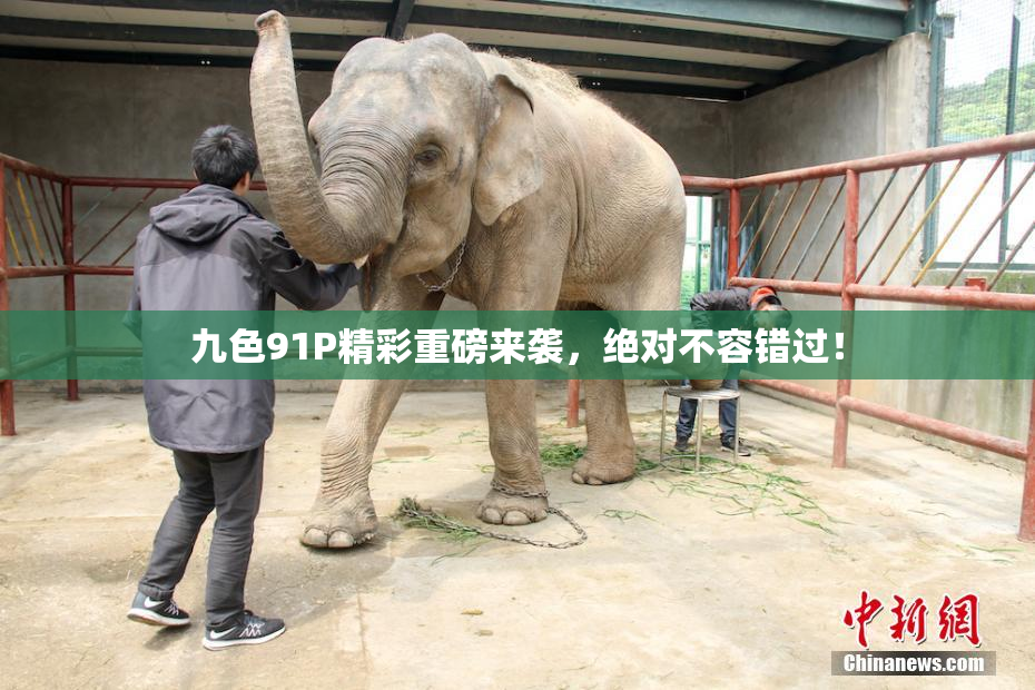 九色91P精彩重磅来袭，绝对不容错过！