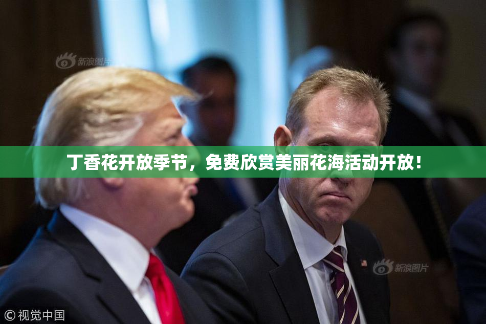 丁香花开放季节，免费欣赏美丽花海活动开放！