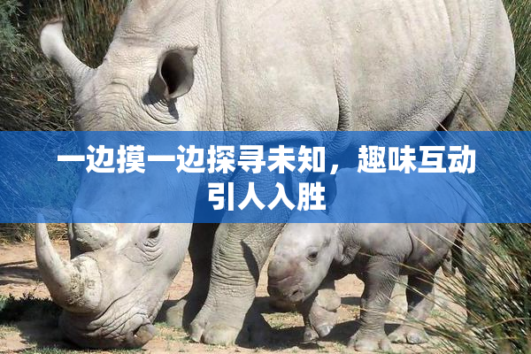 一边摸一边探寻未知，趣味互动引人入胜