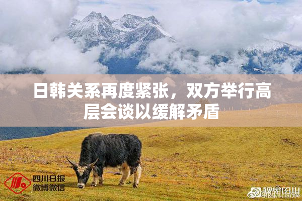 日韩关系再度紧张，双方举行高层会谈以缓解矛盾