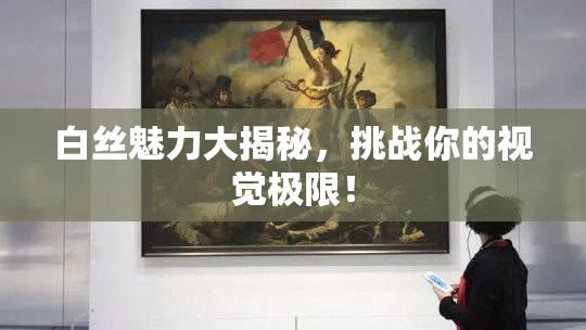 白丝魅力大揭秘，挑战你的视觉极限！