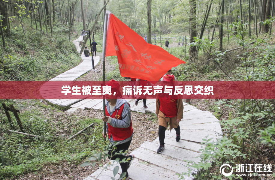 学生被至爽，痛诉无声与反思交织