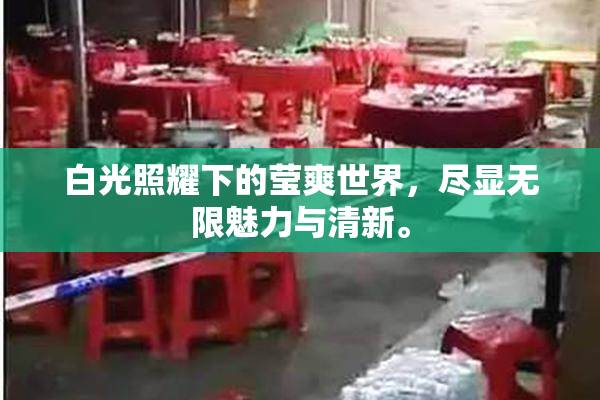 白光照耀下的莹爽世界，尽显无限魅力与清新。