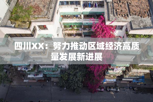 四川XX：努力推动区域经济高质量发展新进展