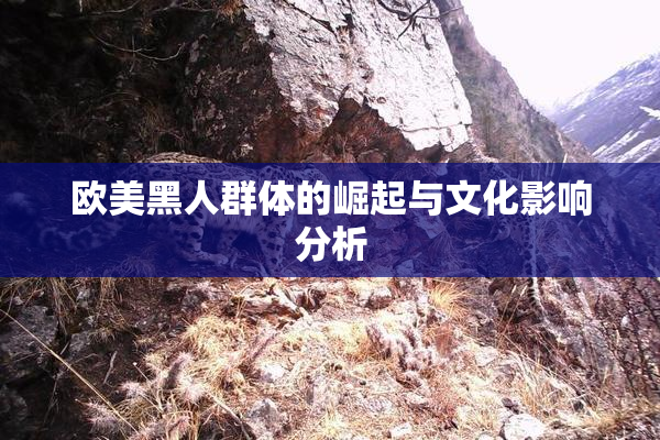 欧美黑人群体的崛起与文化影响分析