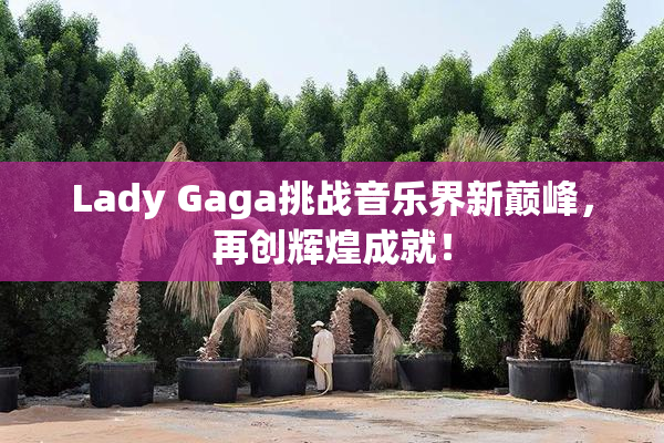 Lady Gaga挑战音乐界新巅峰，再创辉煌成就！