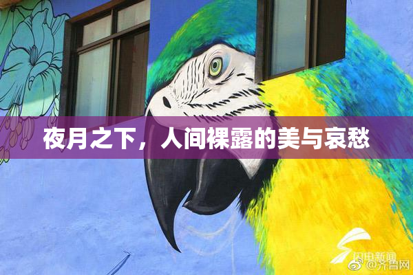 夜月之下，人间裸露的美与哀愁