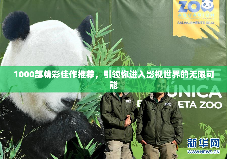 1000部精彩佳作推荐，引领你进入影视世界的无限可能