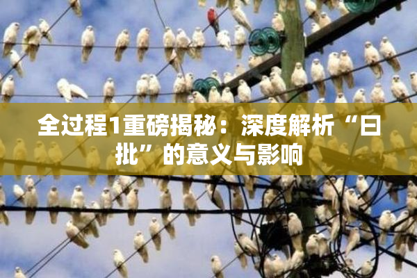 全过程1重磅揭秘：深度解析“曰批”的意义与影响