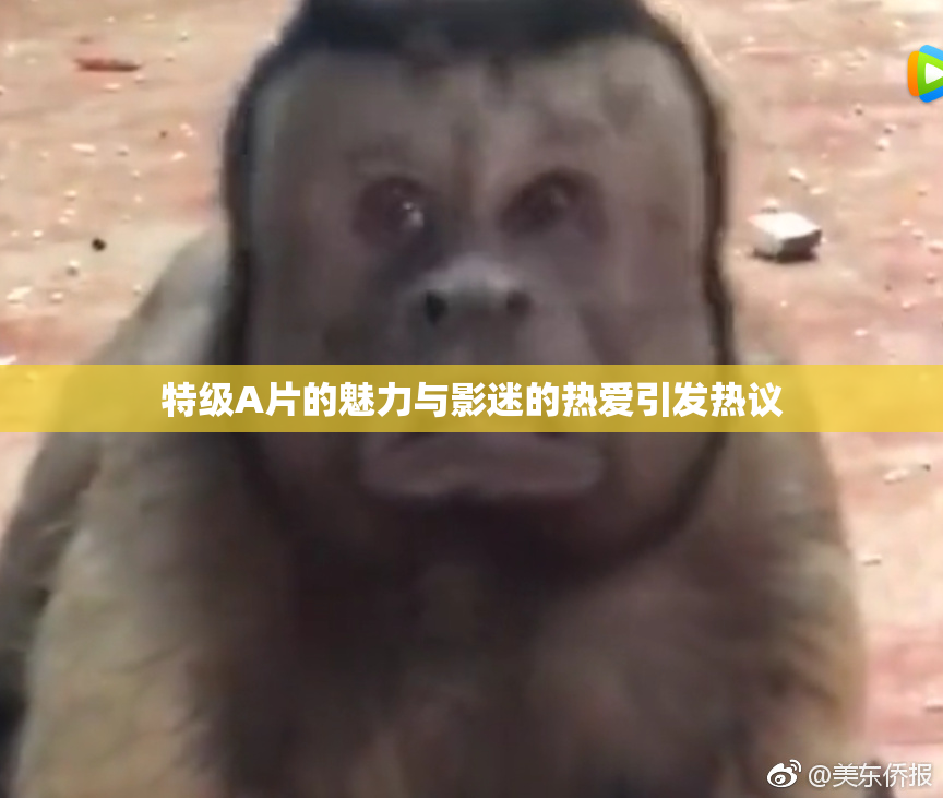 特级A片的魅力与影迷的热爱引发热议