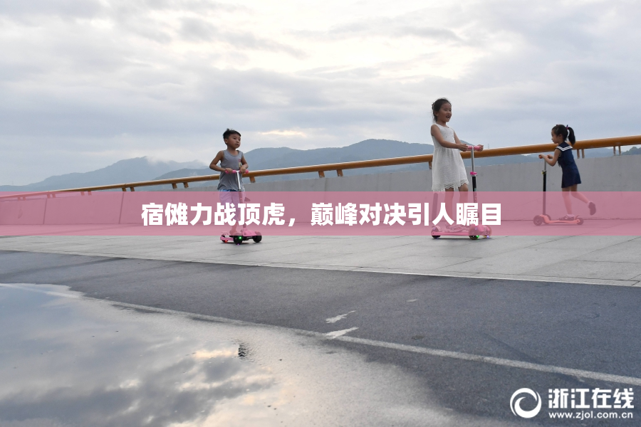 宿傩力战顶虎，巅峰对决引人瞩目