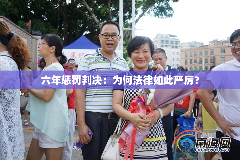 六年惩罚判决：为何法律如此严厉？