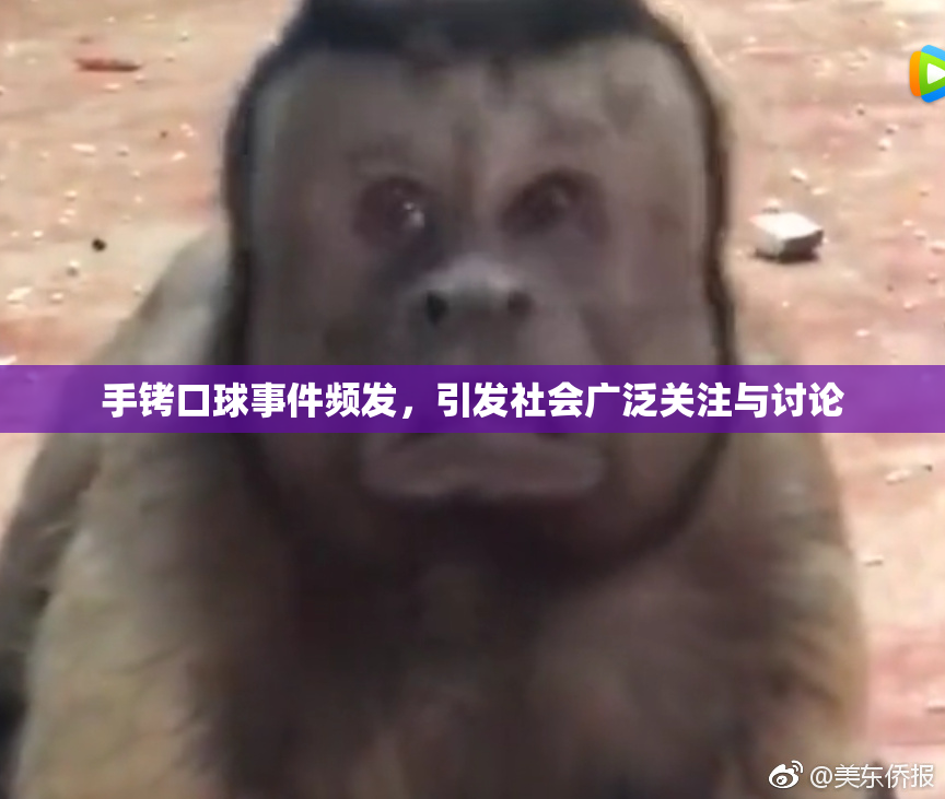 手铐口球事件频发，引发社会广泛关注与讨论