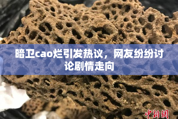 暗卫cao烂引发热议，网友纷纷讨论剧情走向