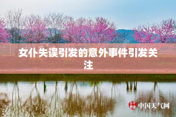 女仆失误引发的意外事件引发关注