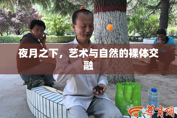 夜月之下，艺术与自然的裸体交融
