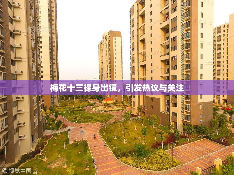 梅花十三裸身出镜，引发热议与关注