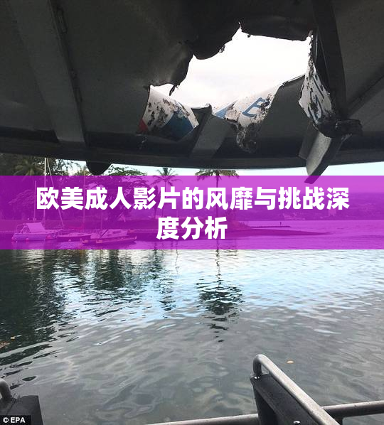 欧美成人影片的风靡与挑战深度分析