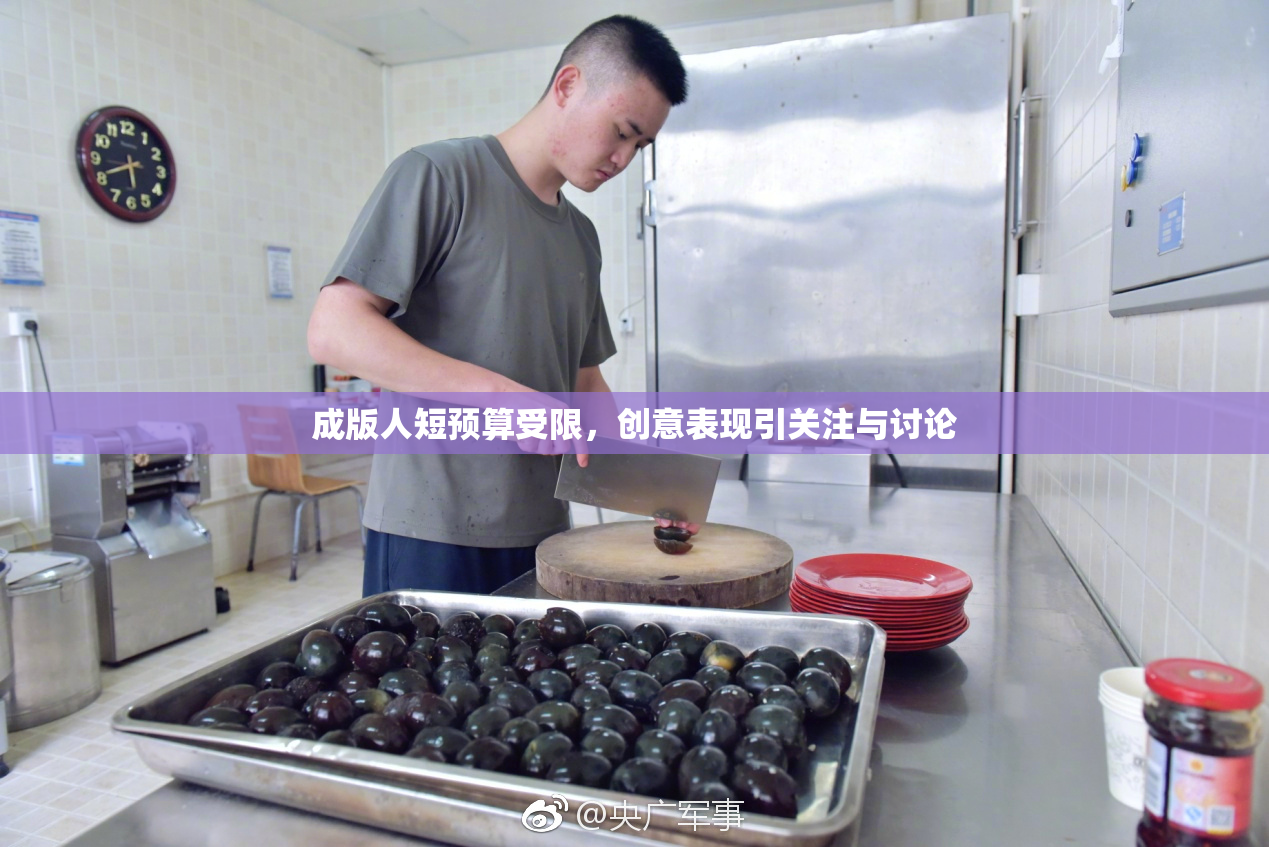 成版人短预算受限，创意表现引关注与讨论