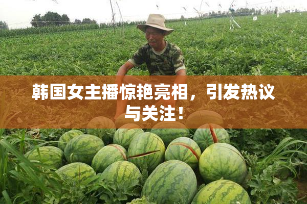 韩国女主播惊艳亮相，引发热议与关注！