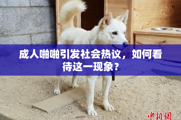 成人啪啪引发社会热议，如何看待这一现象？