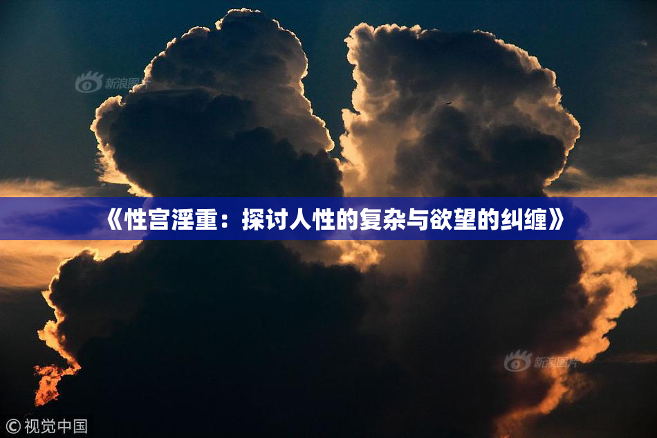 《性宫淫重：探讨人性的复杂与欲望的纠缠》