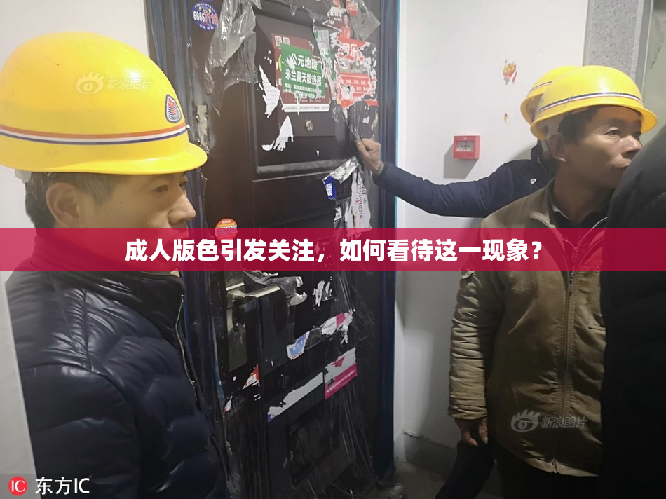 成人版色引发关注，如何看待这一现象？