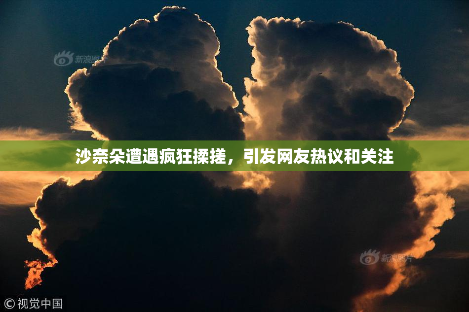 沙奈朵遭遇疯狂揉搓，引发网友热议和关注