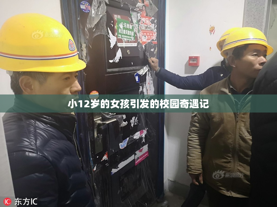 小12岁的女孩引发的校园奇遇记