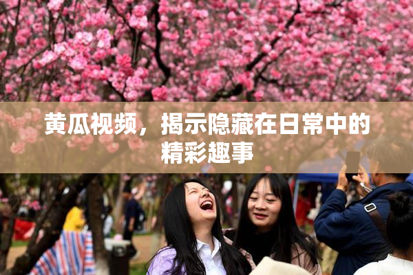 黄瓜视频，揭示隐藏在日常中的精彩趣事
