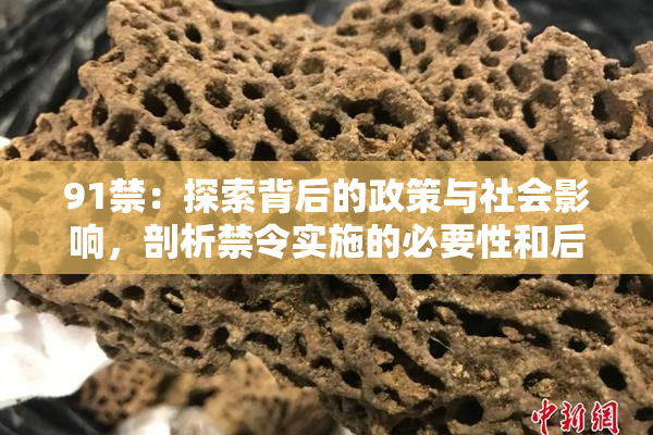91禁：探索背后的政策与社会影响，剖析禁令实施的必要性和后果