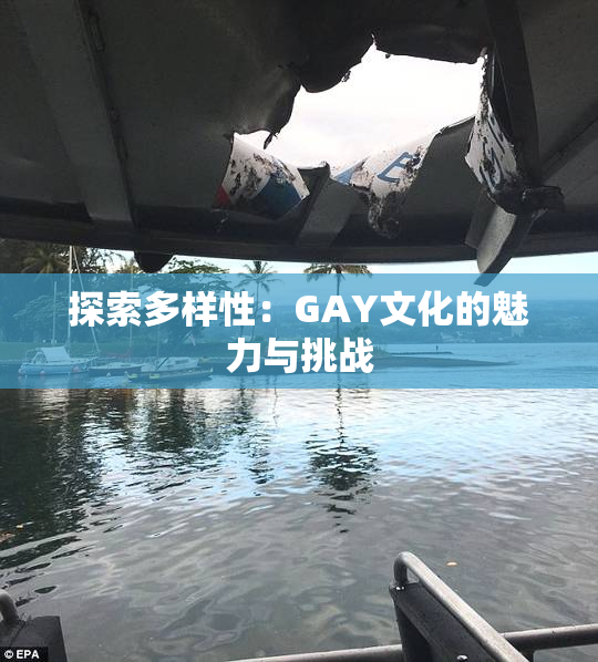 探索多样性：GAY文化的魅力与挑战