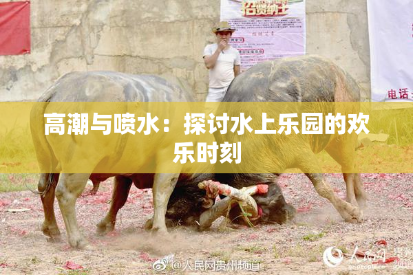 高潮与喷水：探讨水上乐园的欢乐时刻
