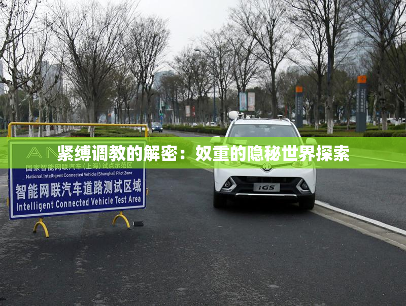 紧缚调教的解密：奴重的隐秘世界探索