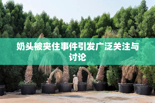奶头被夹住事件引发广泛关注与讨论