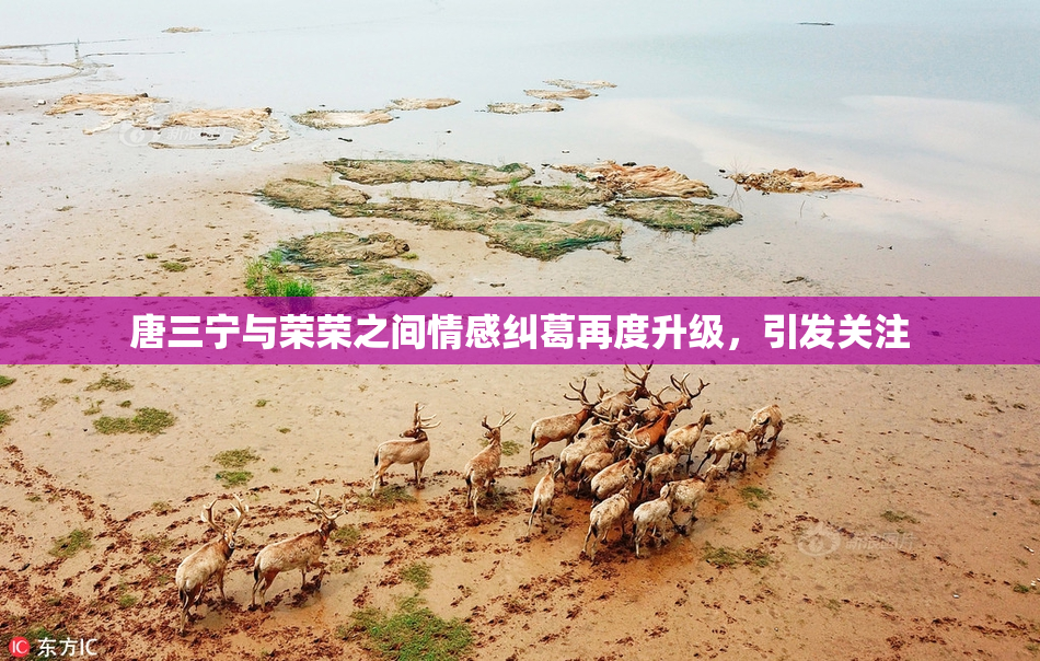 唐三宁与荣荣之间情感纠葛再度升级，引发关注