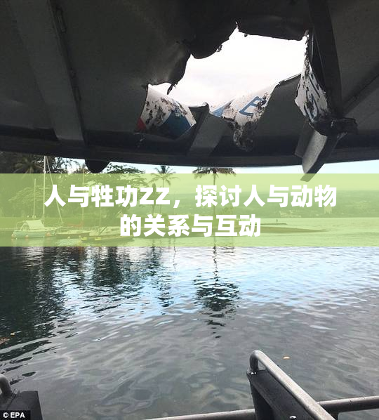 人与牲功ZZ，探讨人与动物的关系与互动
