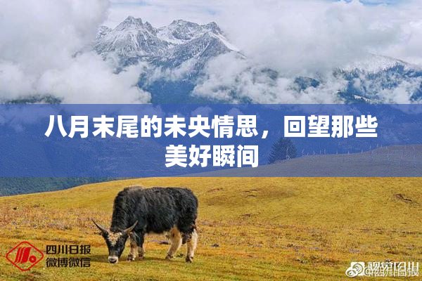 八月末尾的未央情思，回望那些美好瞬间