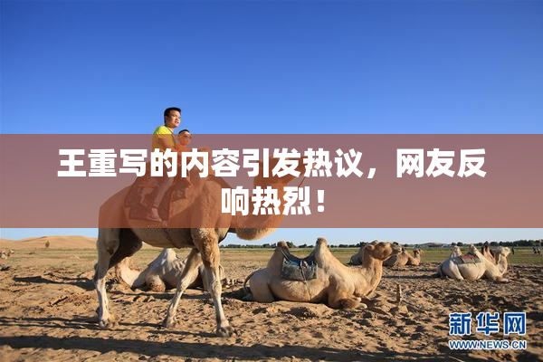 王重写的内容引发热议，网友反响热烈！