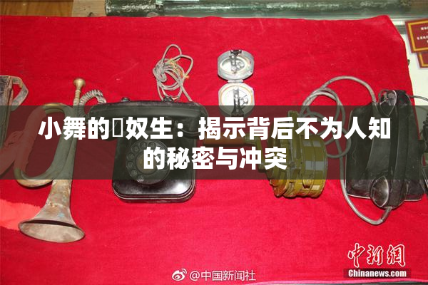 小舞的婬奴生：揭示背后不为人知的秘密与冲突