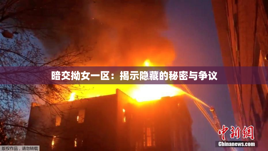 暗交拗女一区：揭示隐藏的秘密与争议